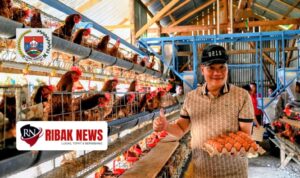 IMG-20260523-WA0126